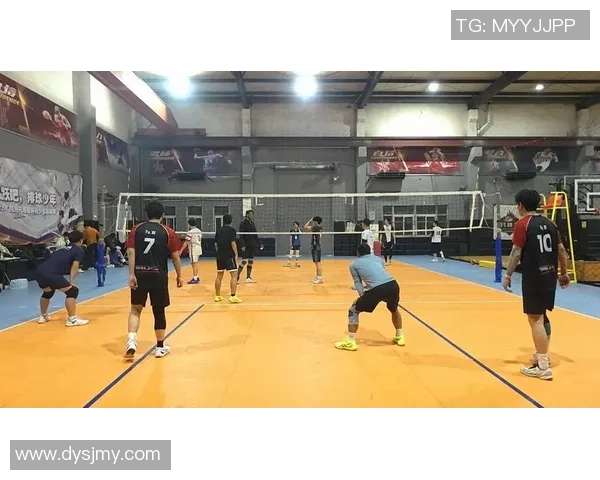 杭州排球队的实力分析与发展潜力探讨